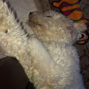 Meet your Posher, Sheri